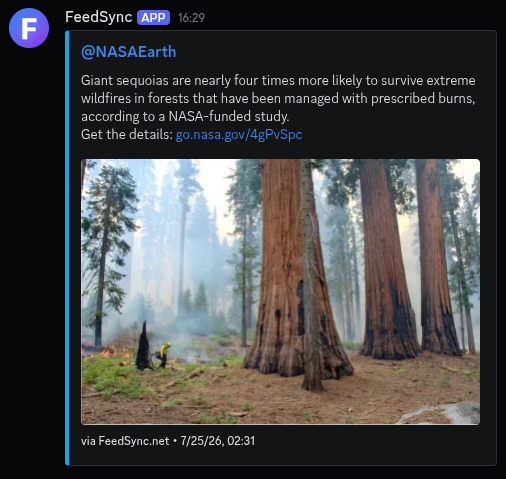 A Nitter post rendered as a rich Discord embed